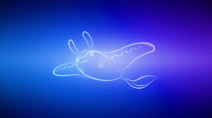 Wallpaper Pokemon Swim Blue Dewgong