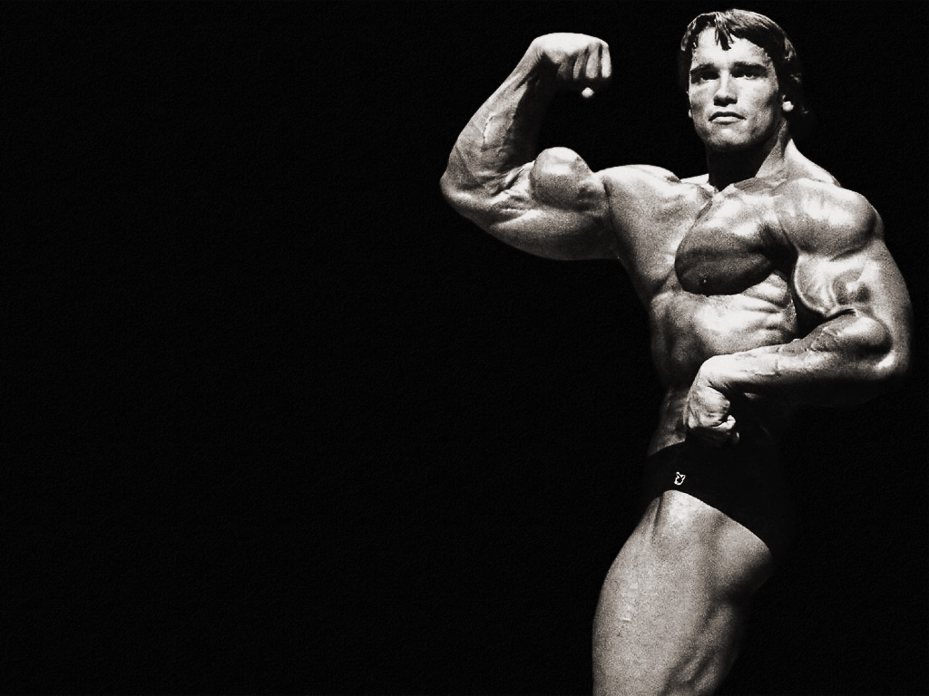 Best Celebrity Arnold Schwarzenegger Body Builder