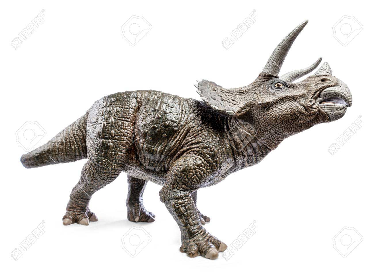 Wide Of Triceratops Dinosaurs Toy Isolated On White
