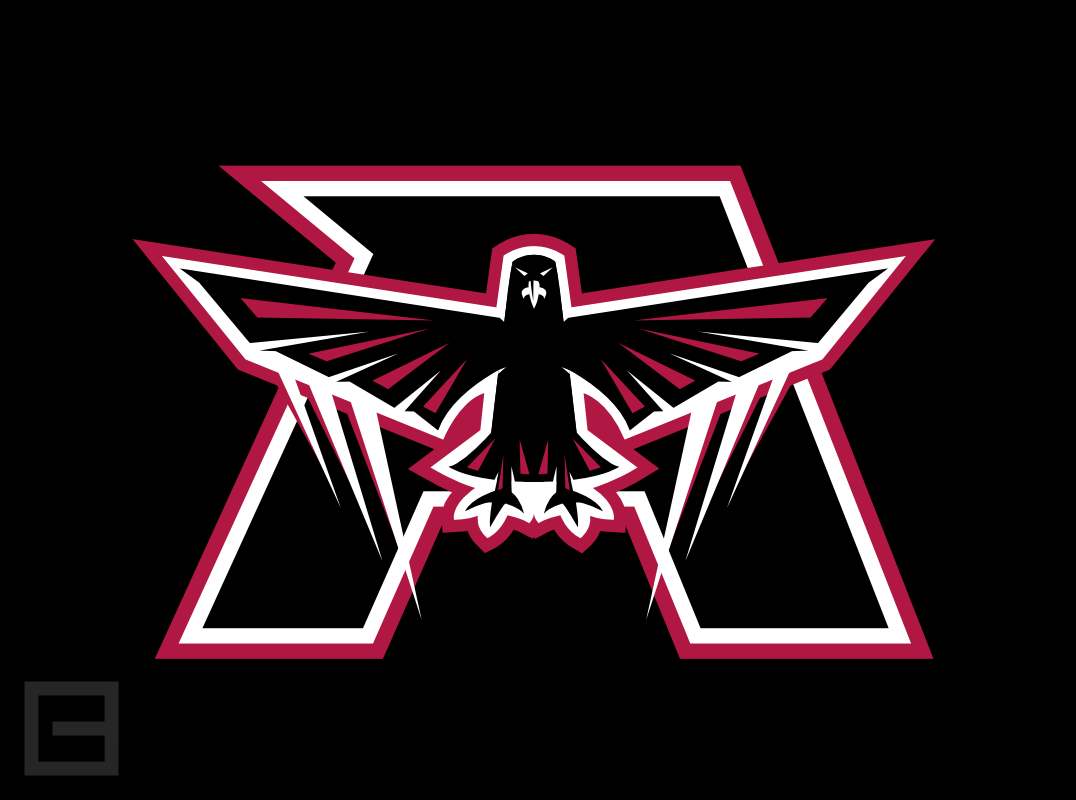 Atlanta Falcons High Definition Image Wallpaper Sport