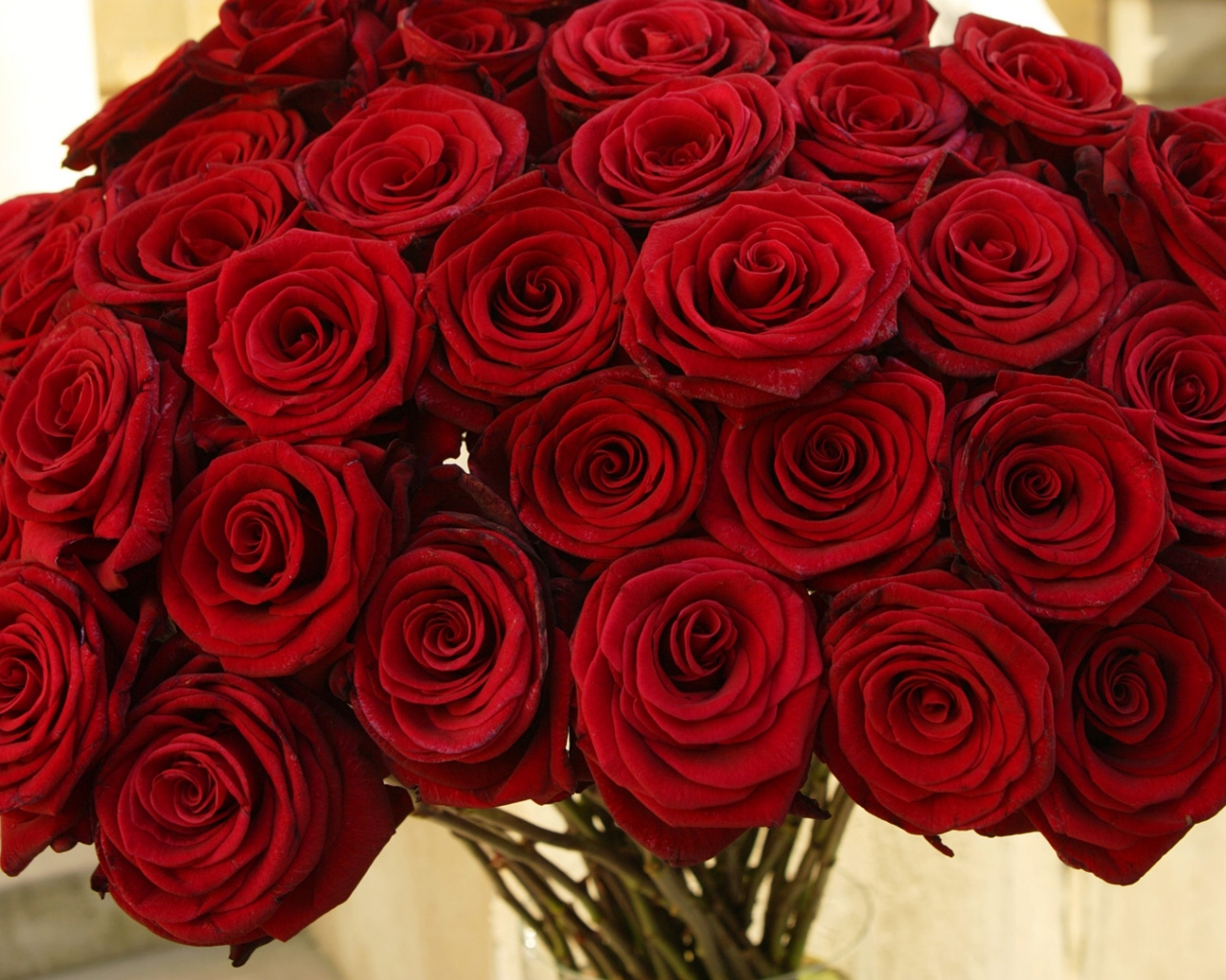 Valentines Day Red Rose Bouquet HD Desktop Wallpaper Background