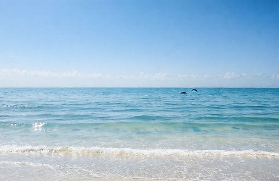 Ocean Live Wallpaper For Windows