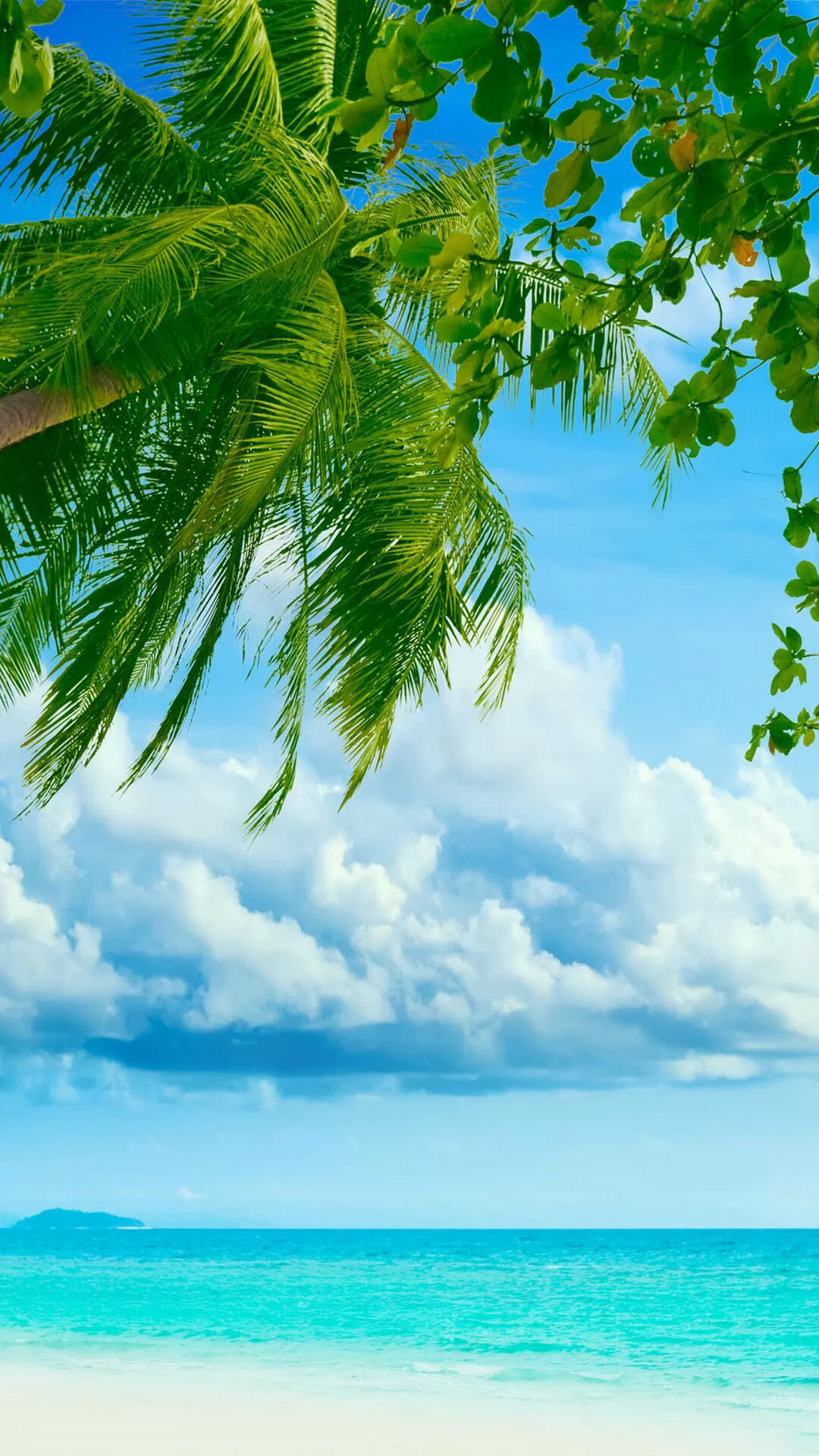 Tropical Beach Coconut Tree Android Wallpaper