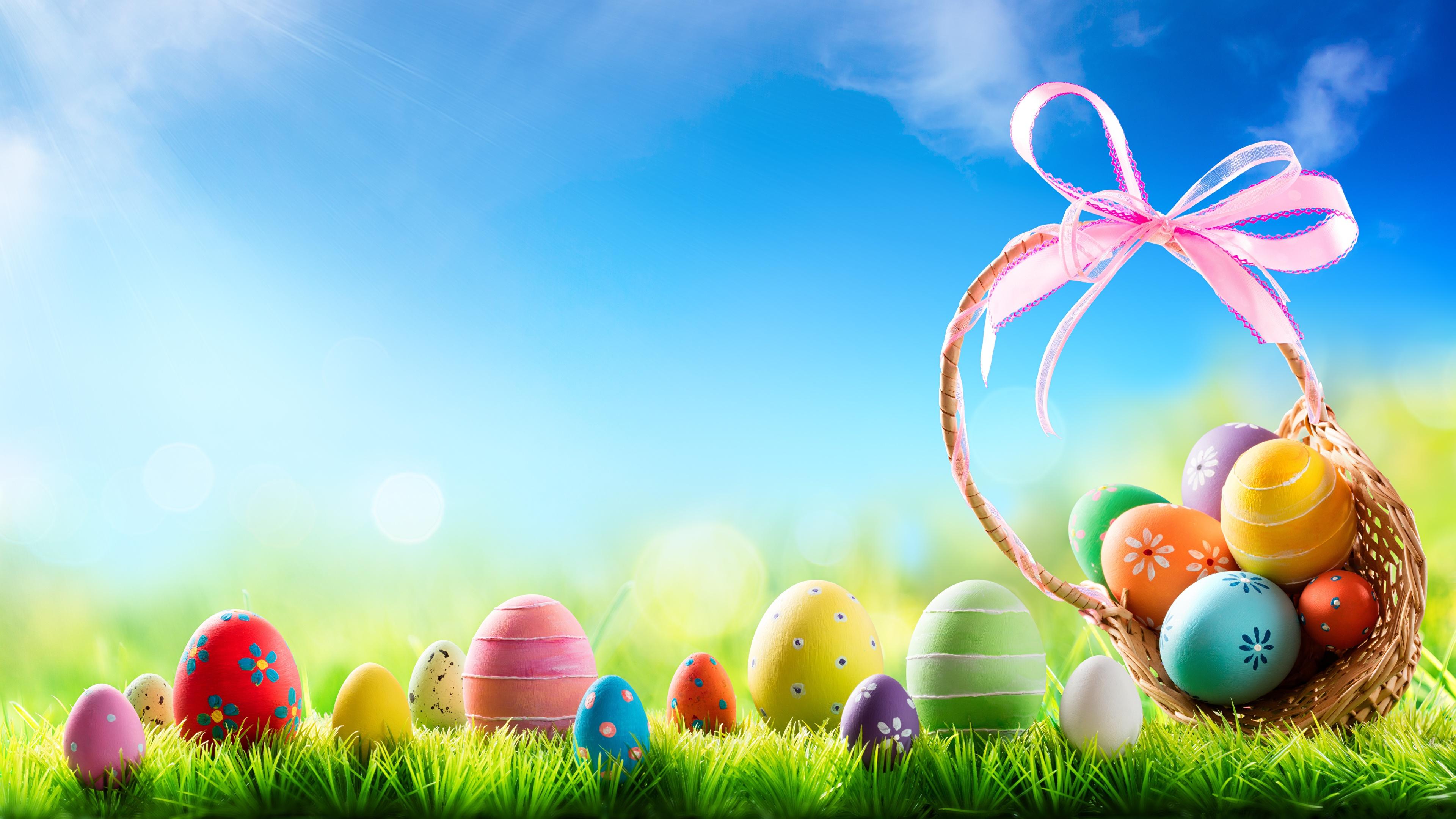 Pictures Easter Egg Wicker Basket Grass