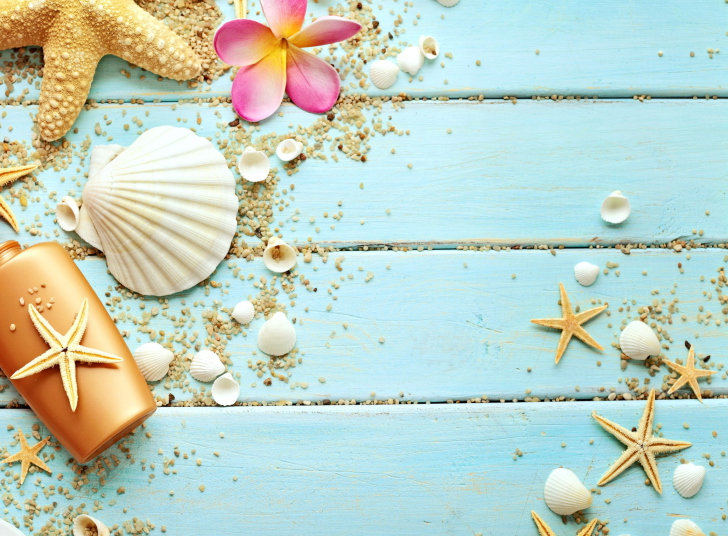 Seashells Wallpaper For Android iPhone And iPad