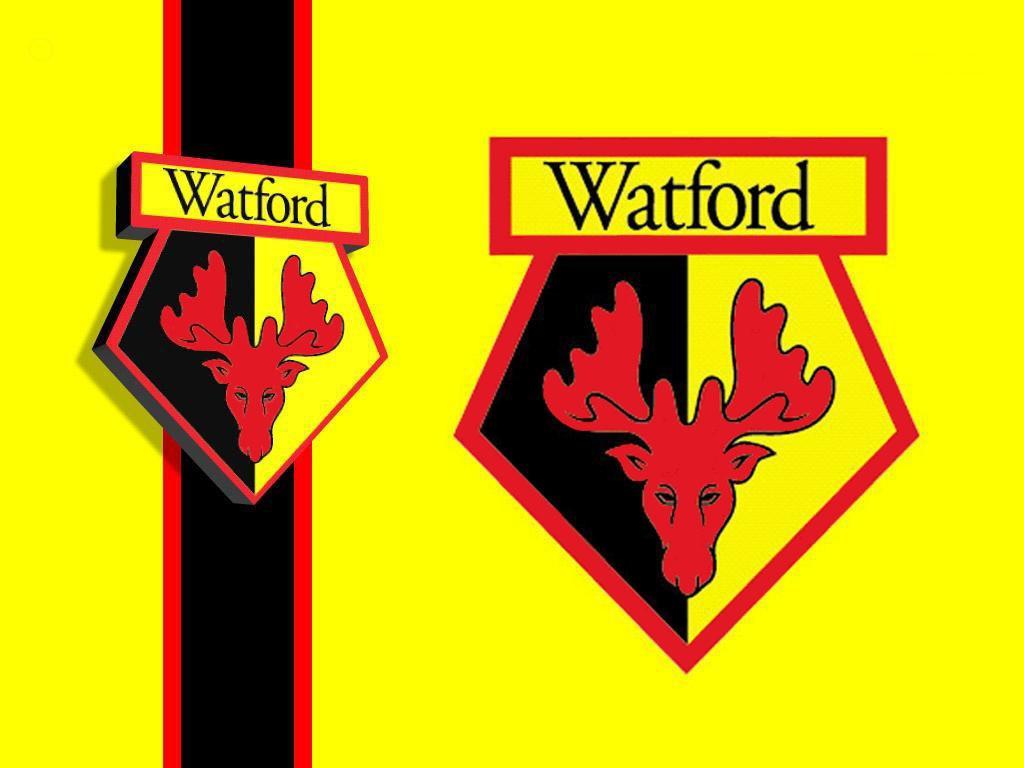 Watford HD Wallpaper Fc Photo Shared By Phedra Fans