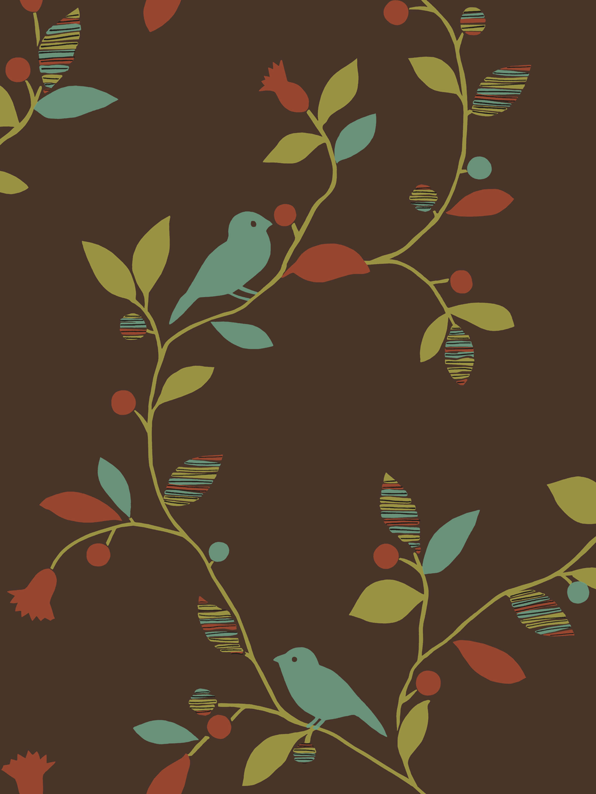 Bird Wallpaper 2400x3198