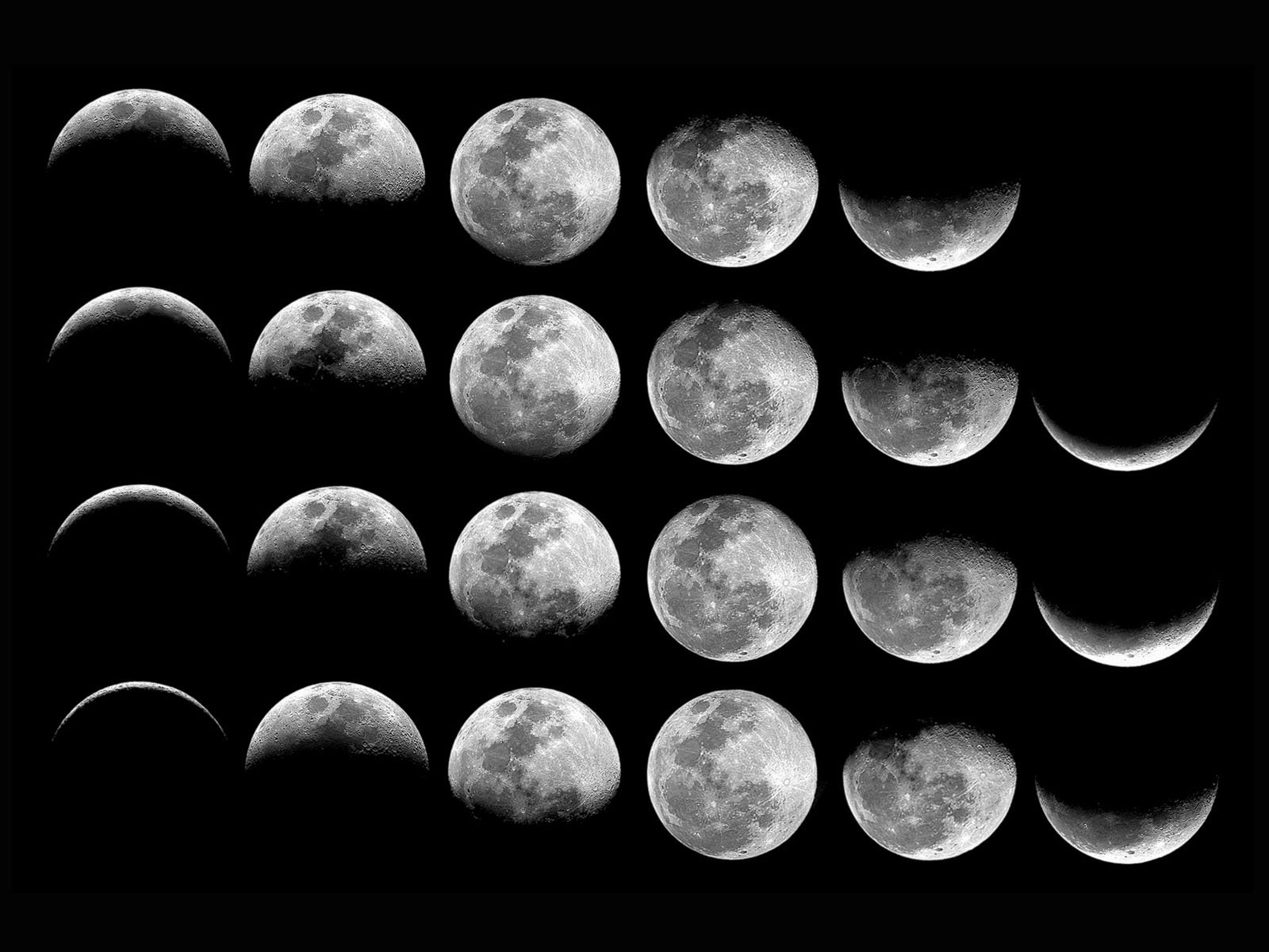 🔥 [50+] Phases of the Moon Wallpapers | WallpaperSafari