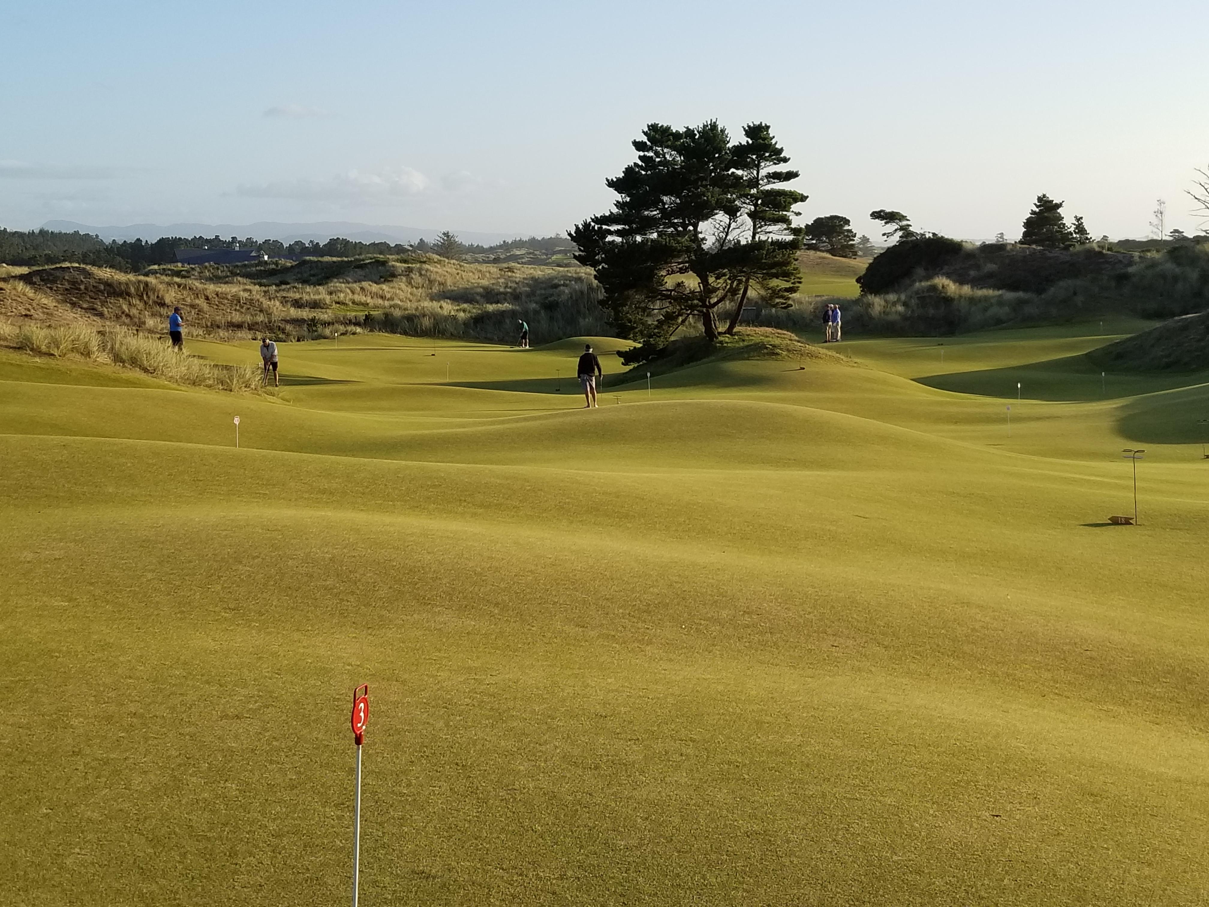 🔥 Free Download Bandon Dunes Wallpaper Cgr8Vn6 Px Picserio By @cwhite37 ...