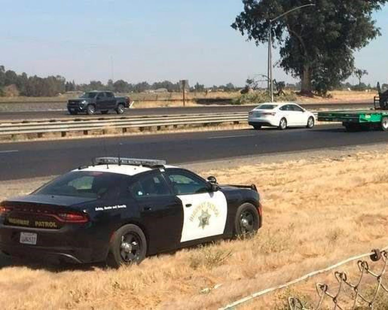 California Highway Patrol Captures Flightless Fugitive Emu The Star