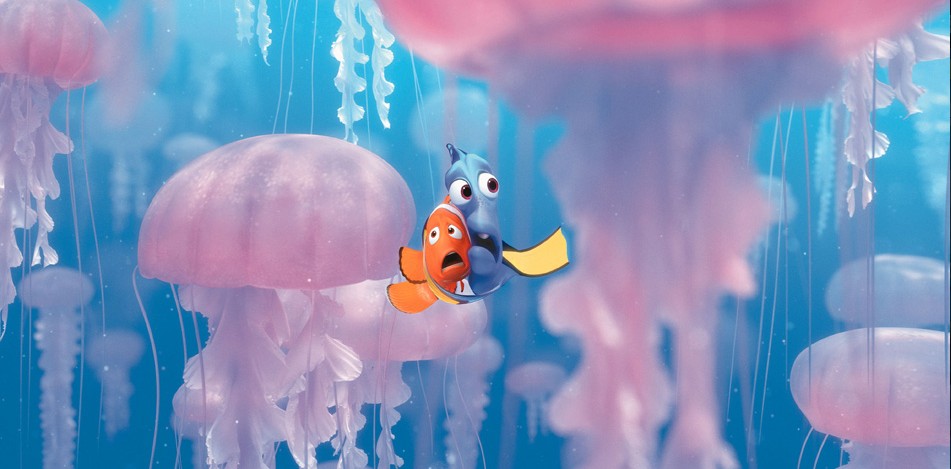 Afraid Nemo Postcard Wallpaper Picture