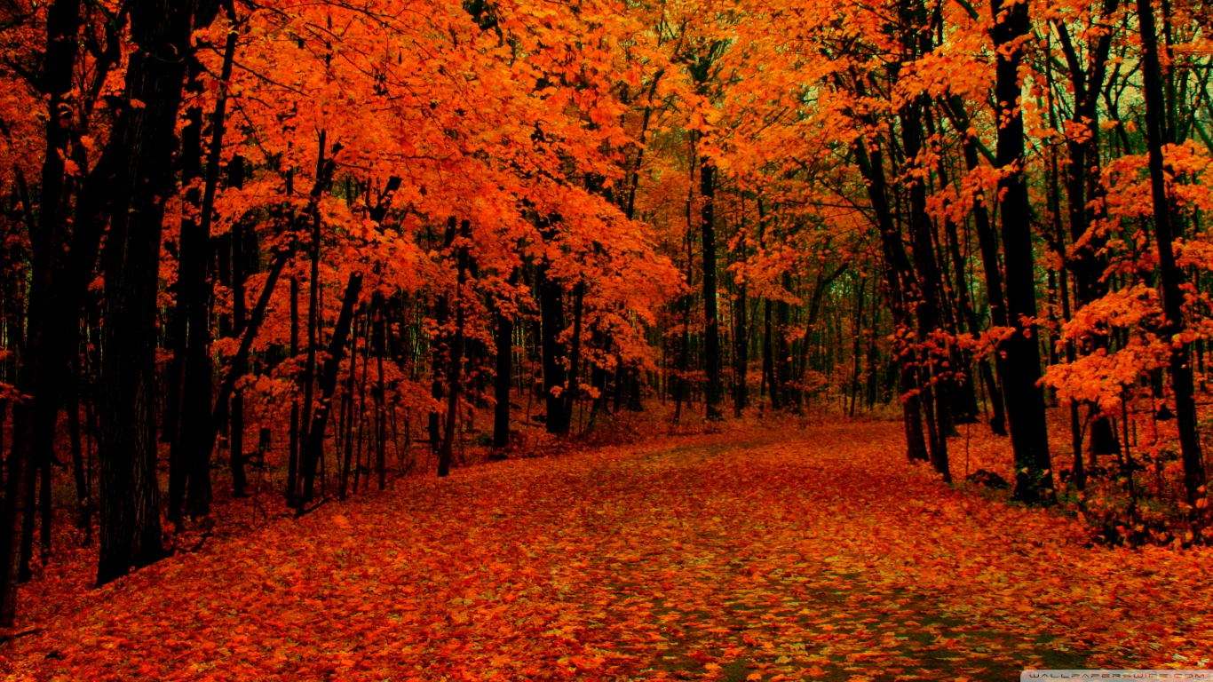 Autumn desktop wallpapers HD and wide wallpapers  Page 1