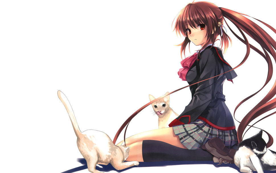 Anime Cat Lover wallpaper   ForWallpapercom