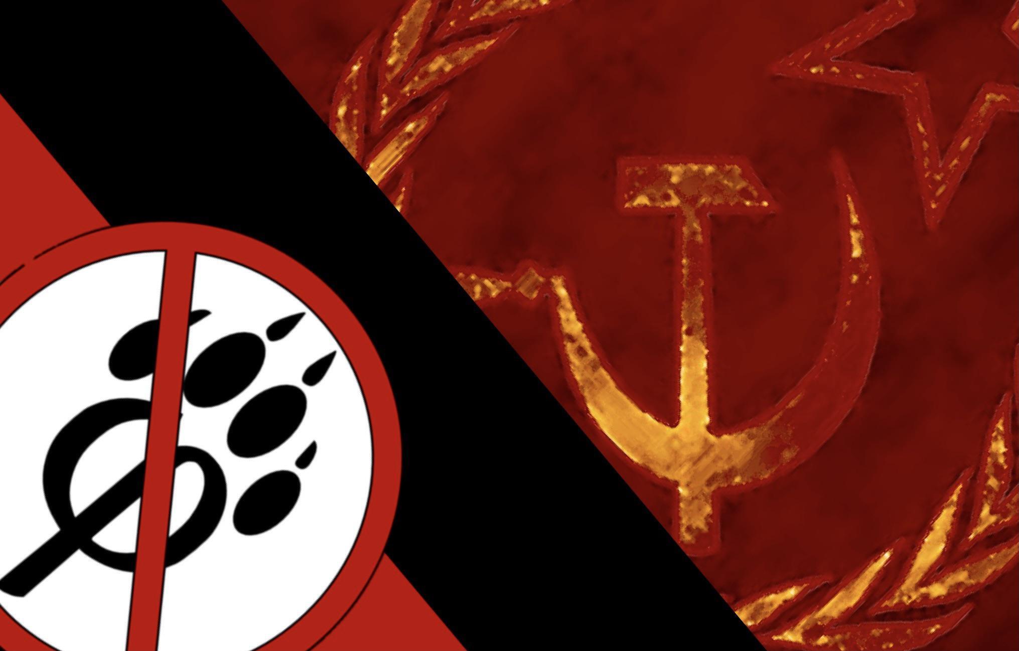 Soviet Anti Furry Flag R Talkaboutmunism