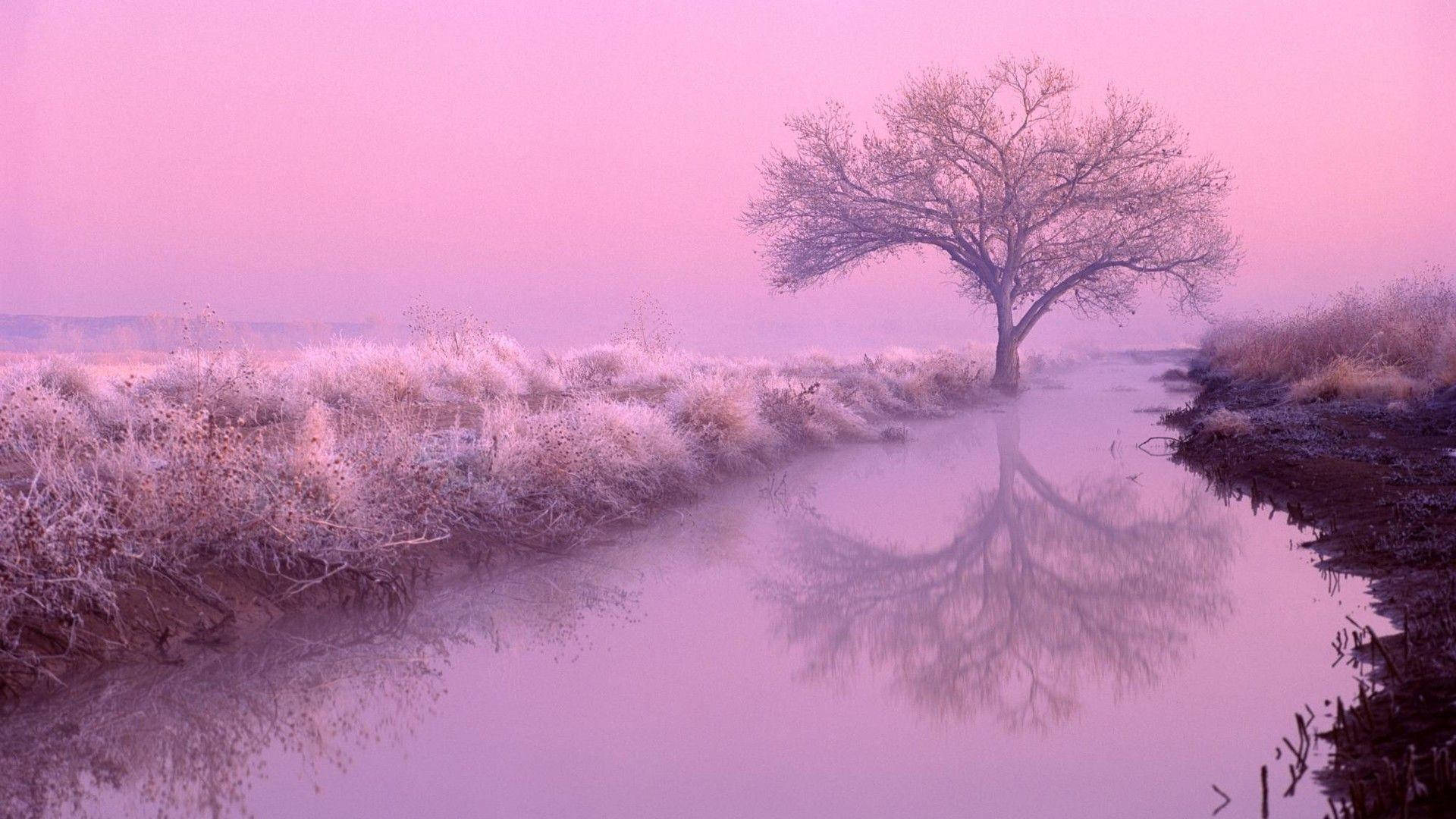 Pink Aesthetic Laptop Screen Wallpaper