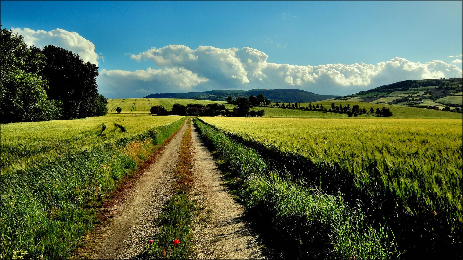 Farm Desktop Wallpaper