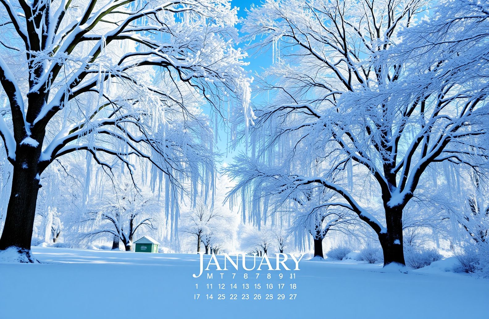 January Calendar Wallpaper