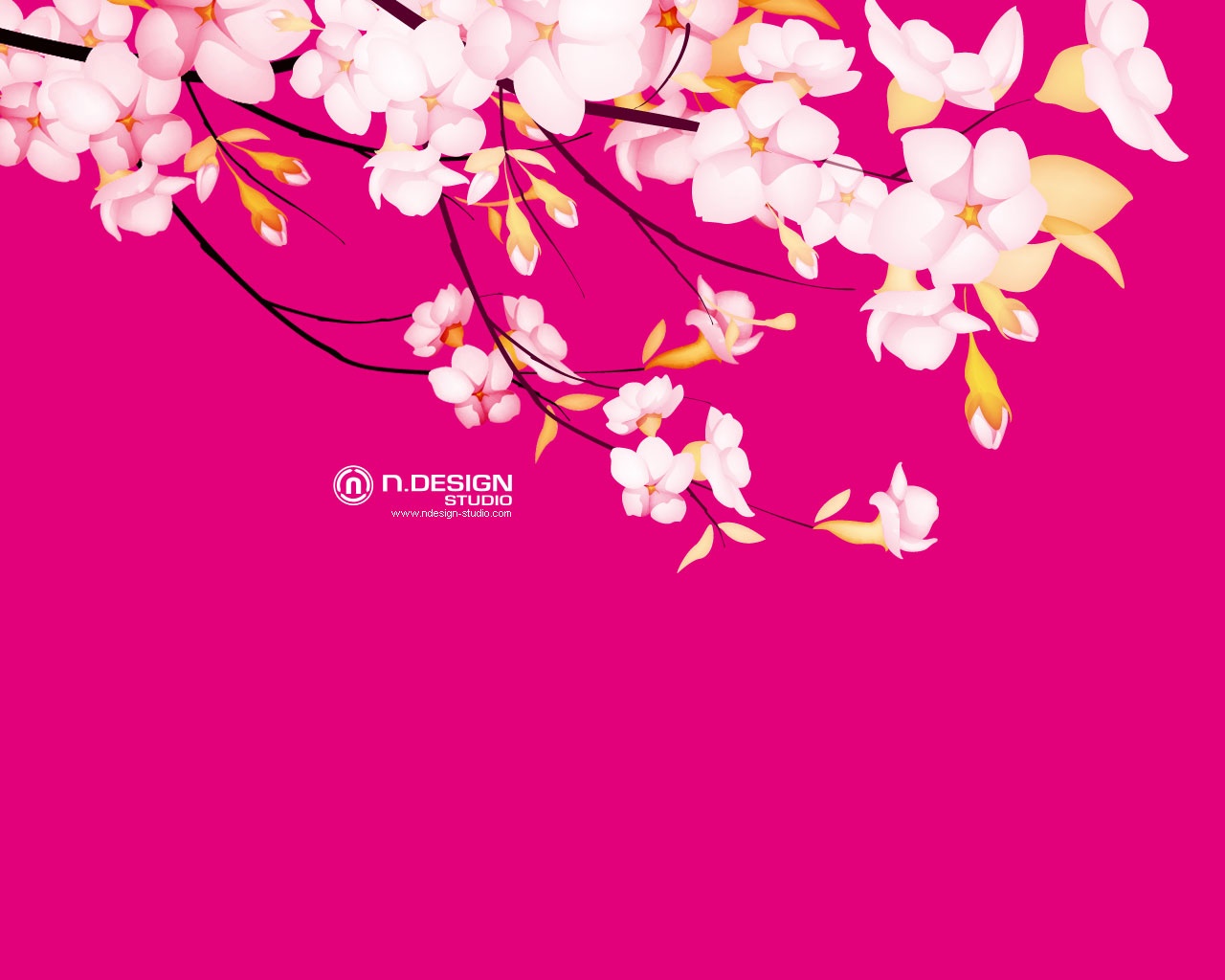 Wallpaper Sakura Flower Desktop Nature Goodwp Drawing