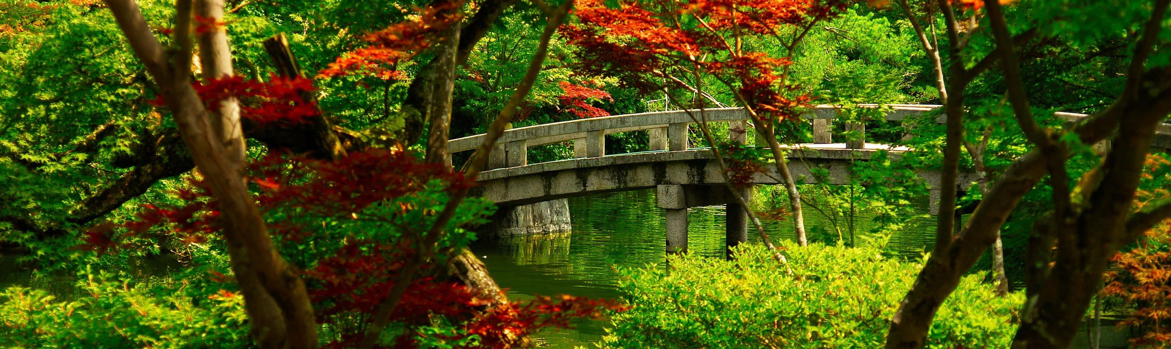 Spring Dual Monitor Wallpaper