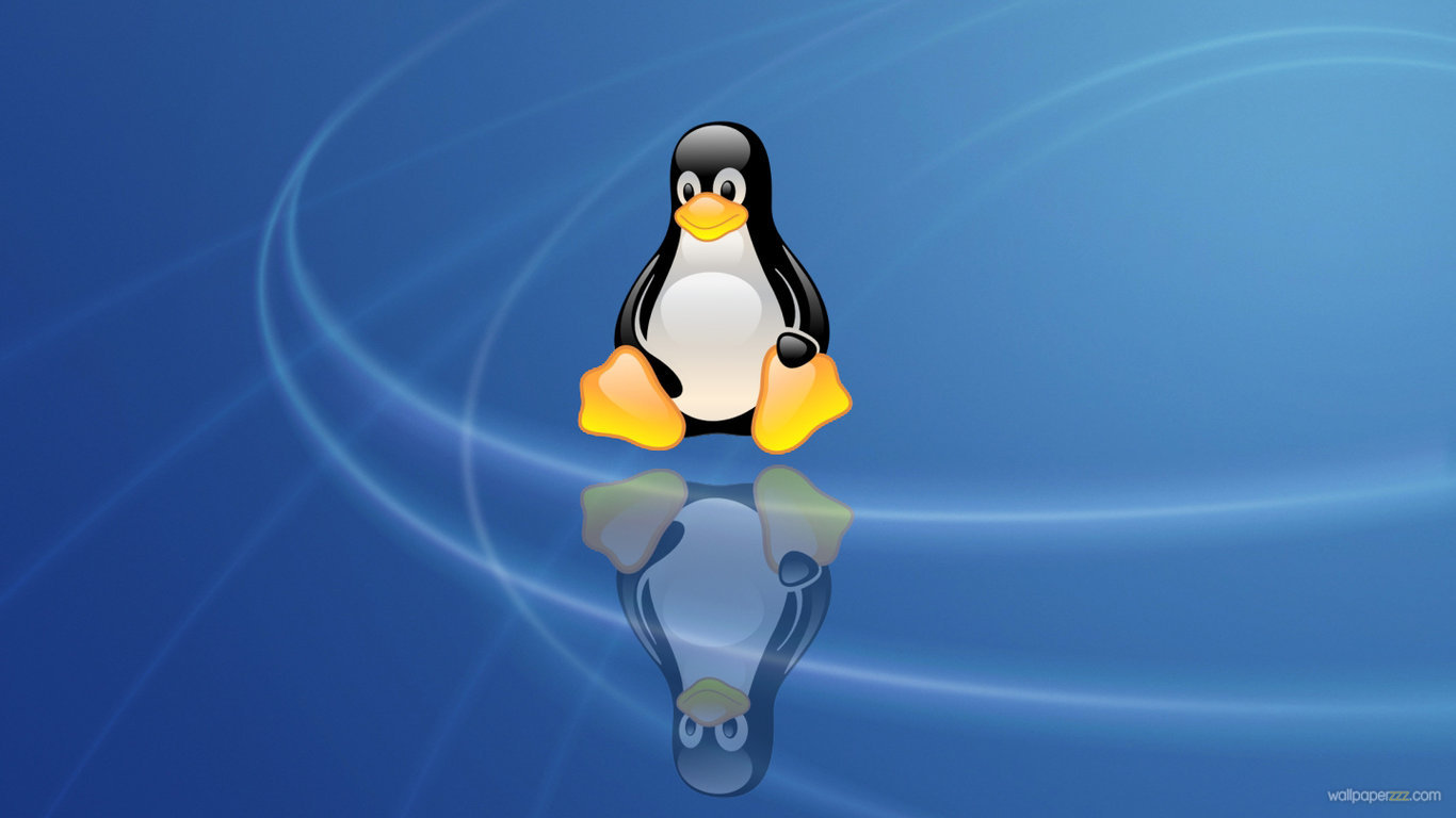 Linux Penguin HD Wallpaper