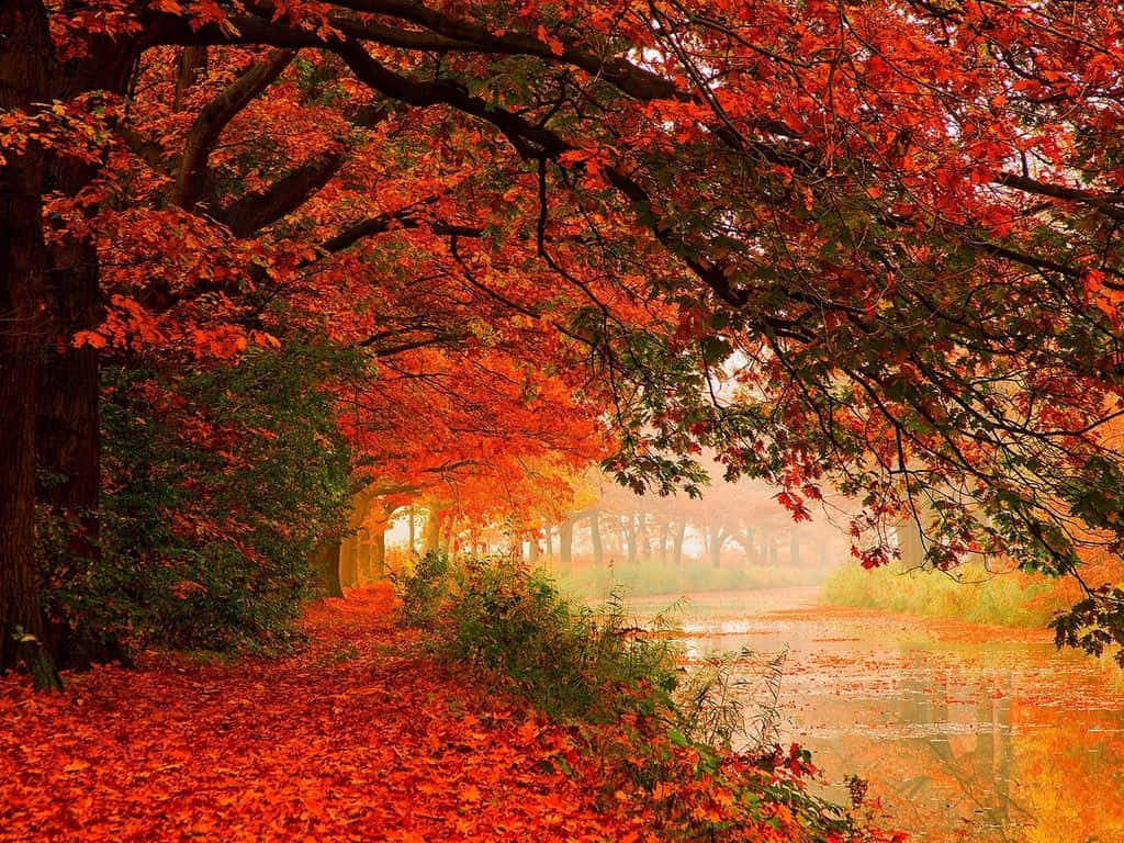 🔥 Free Download X Autumn Wallpaper by sharonm WallpaperSafari