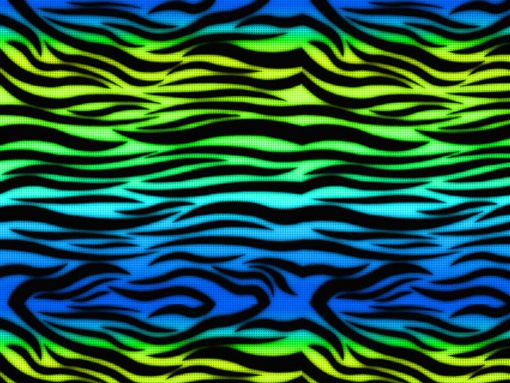 Blue Zebra Print Wallpaper To Your Cell Phone Animal
