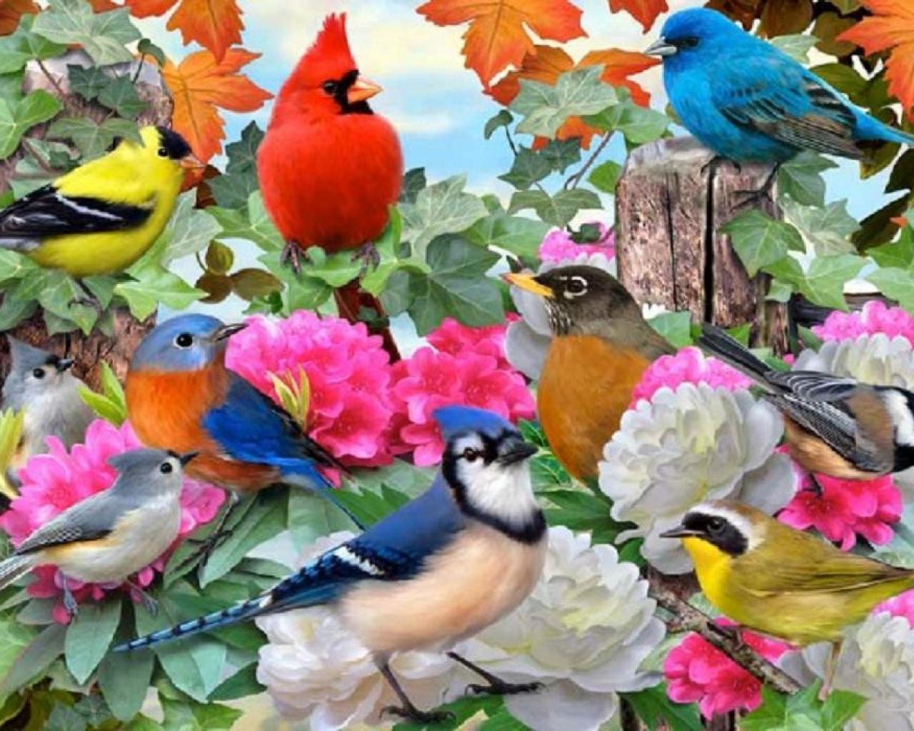 Birds For All Seasons Wallpaper HD