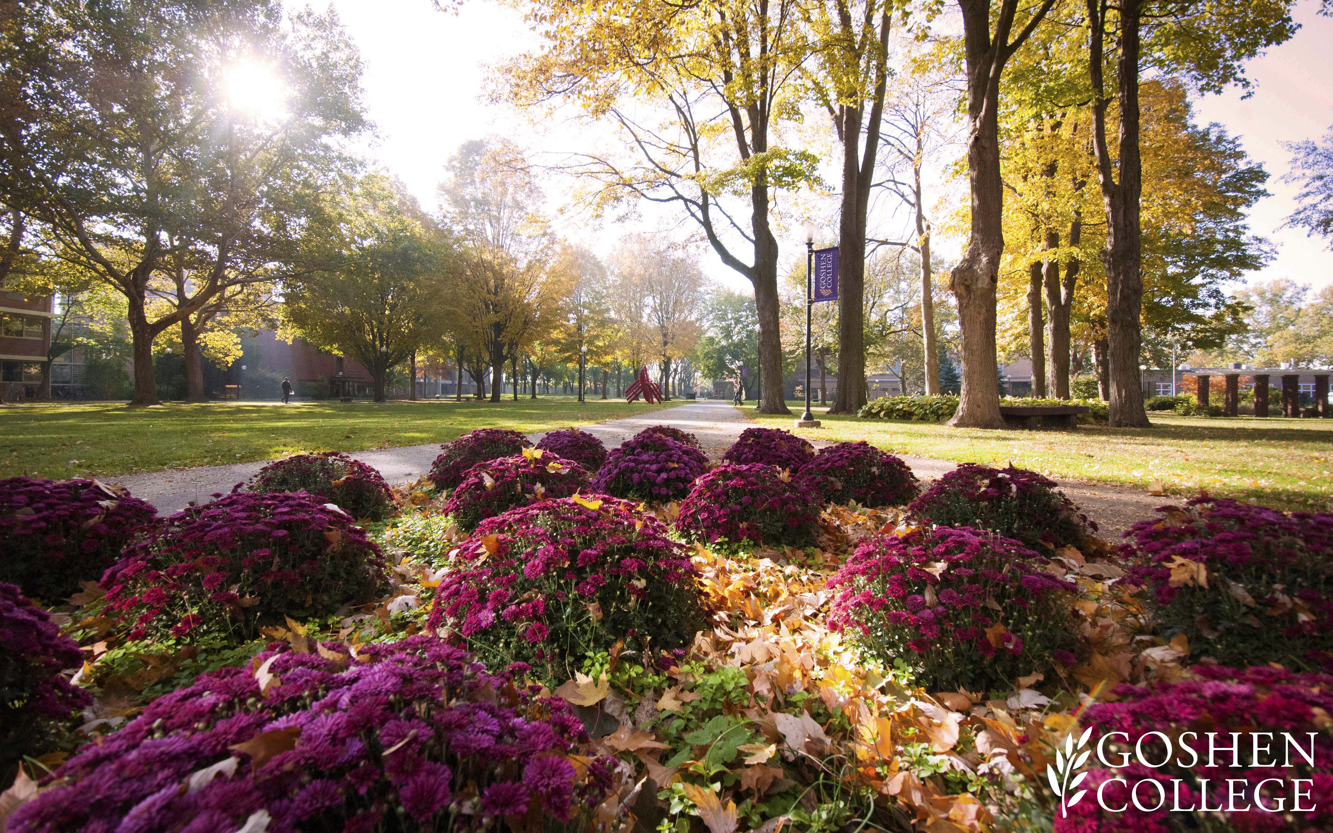 College Wallpaper HD