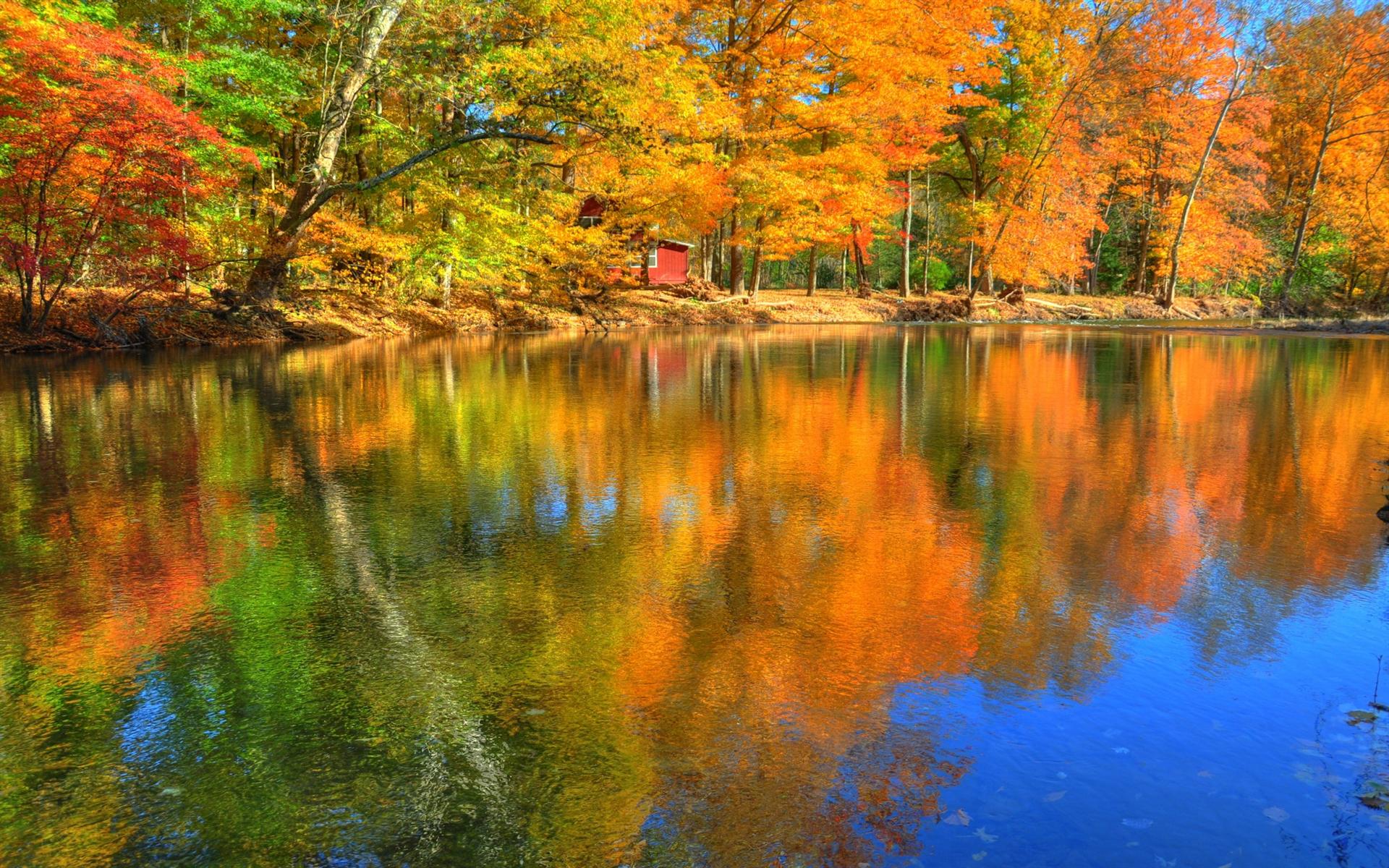 Reflections Of Autumn Desktop Wallpaper Background