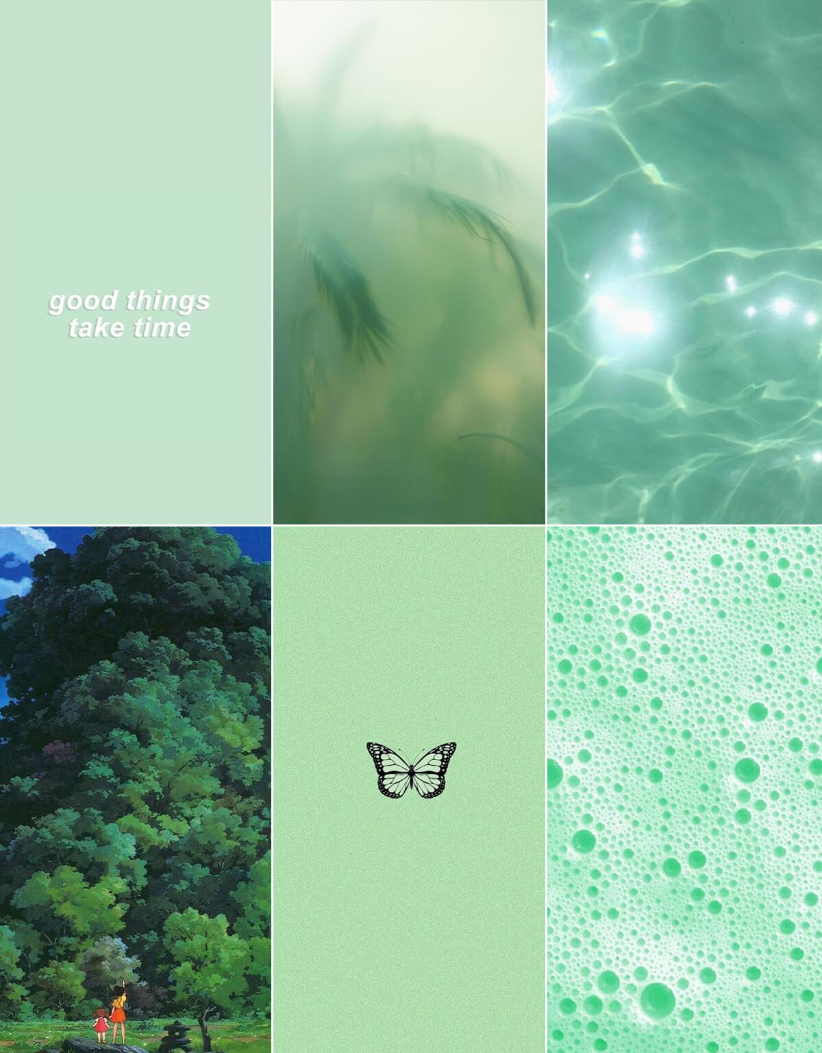 Green Aesthetic Pictures Color Palettes Wallpaper Gridfiti