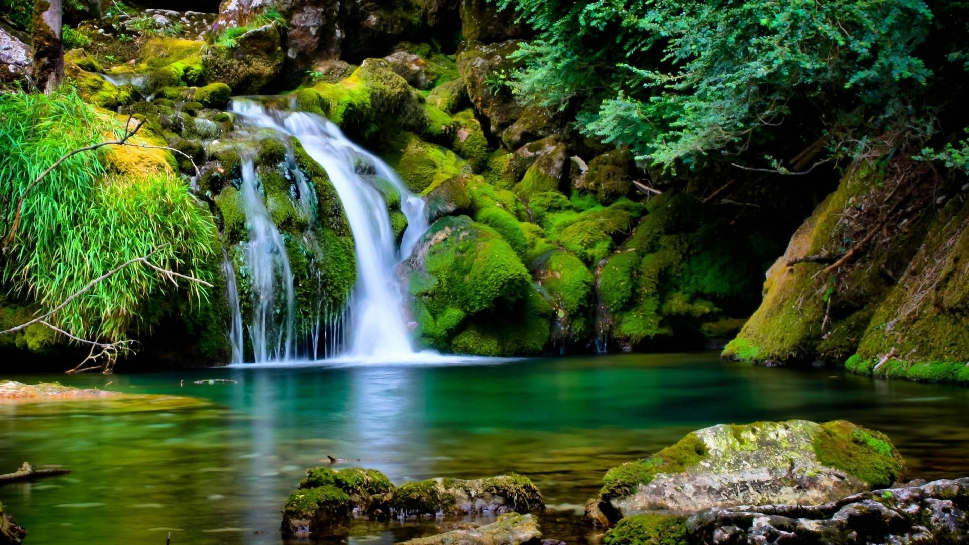 Moving Desktop Wallpaper