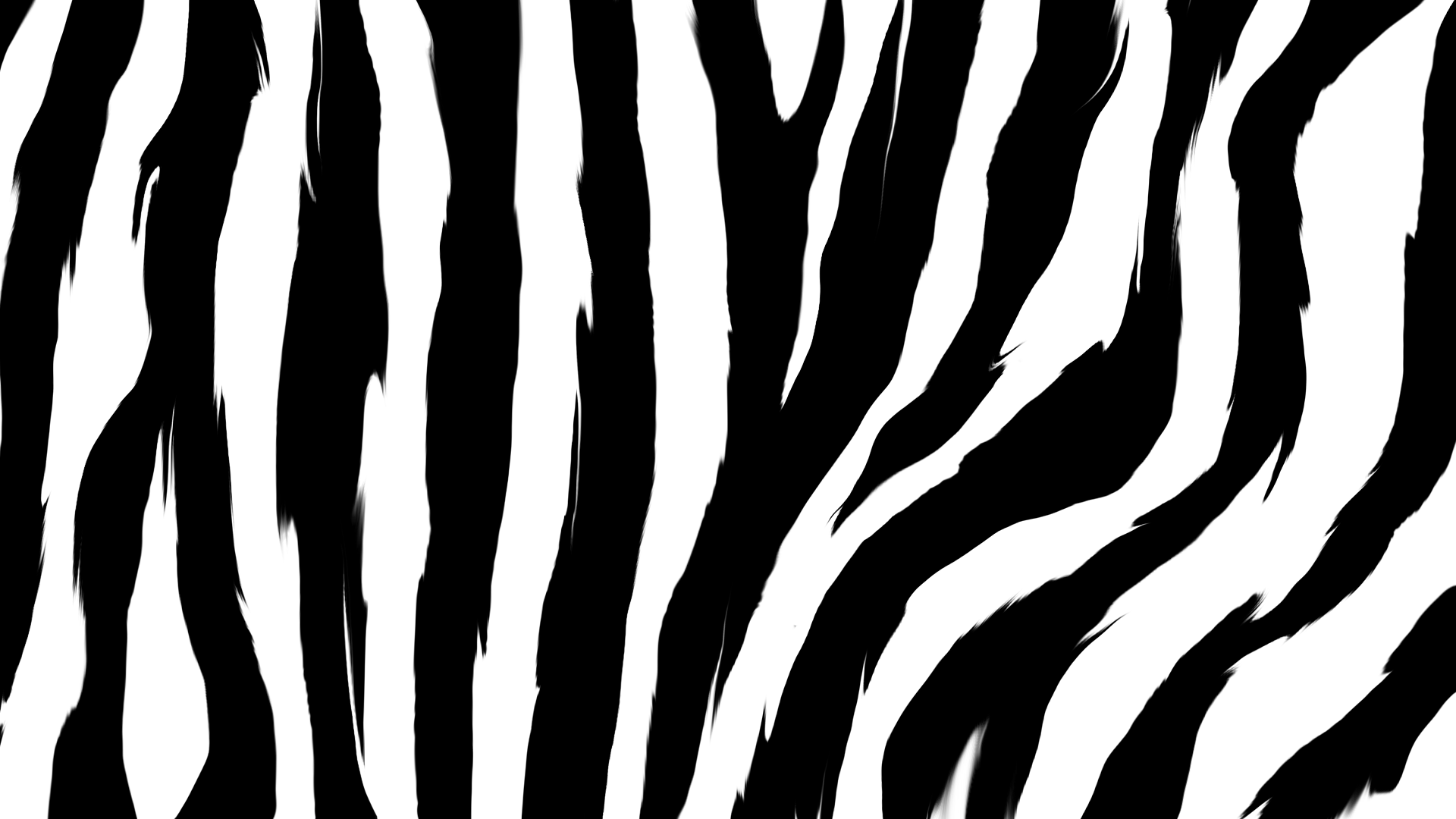 Zebra Pattern Wallpaper - carrotapp