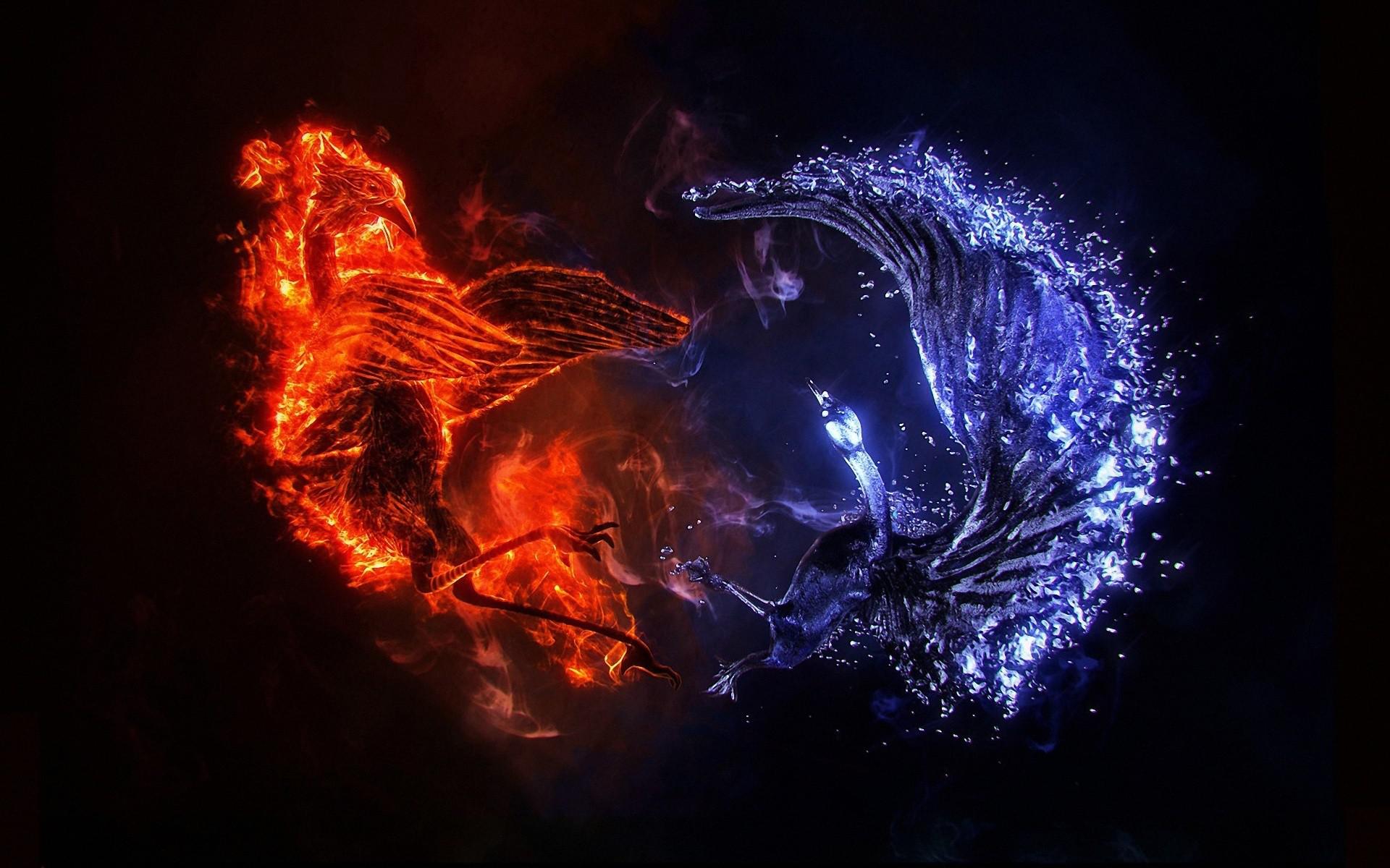 Ice Phoenix And Fire Wallpaper HD