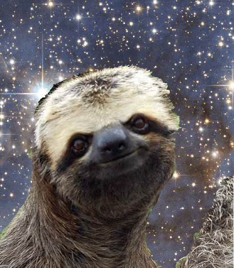 Sloth With Sunglasses In Space Sloths