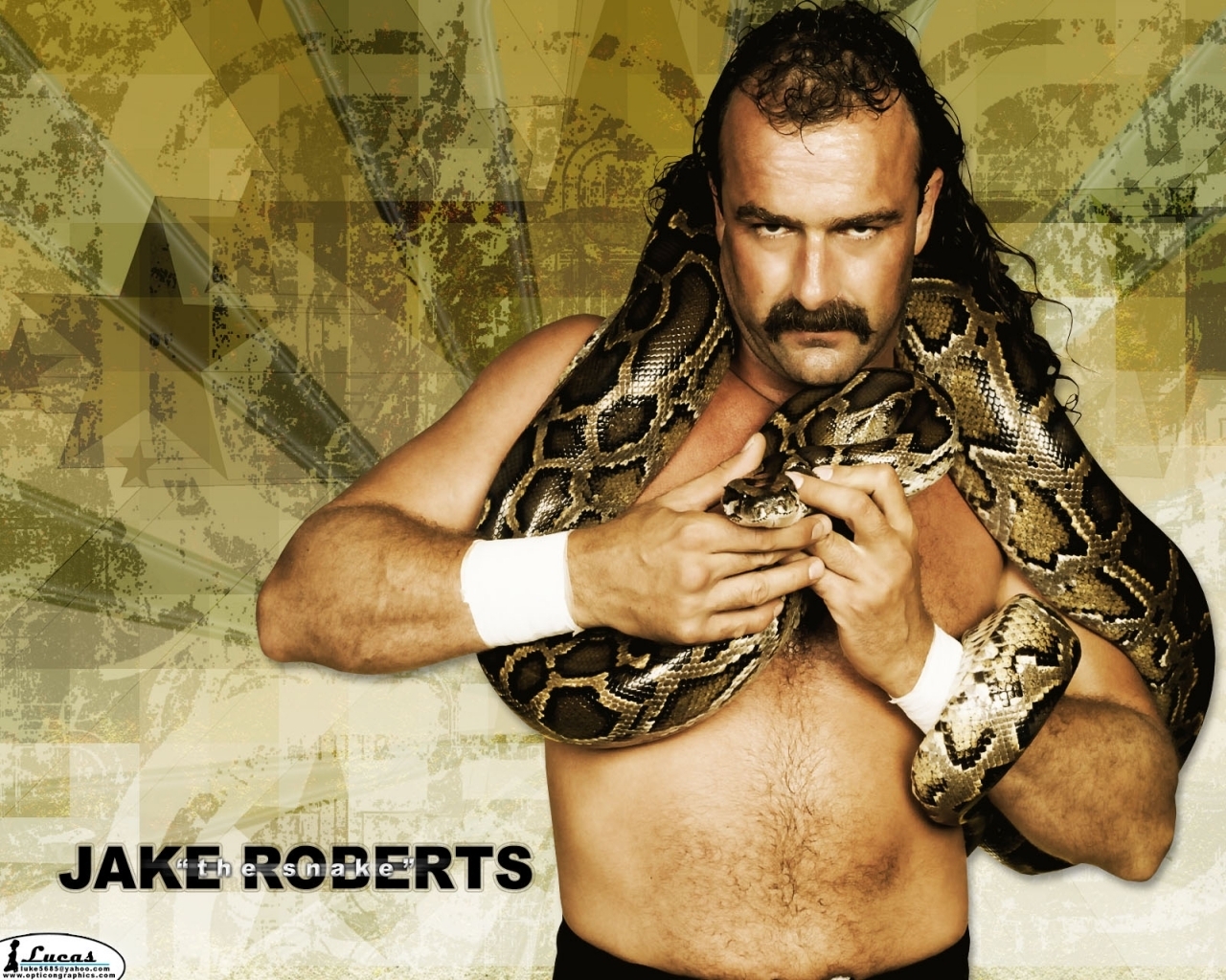 Cool Wallpaper Jake The Snake Roberts