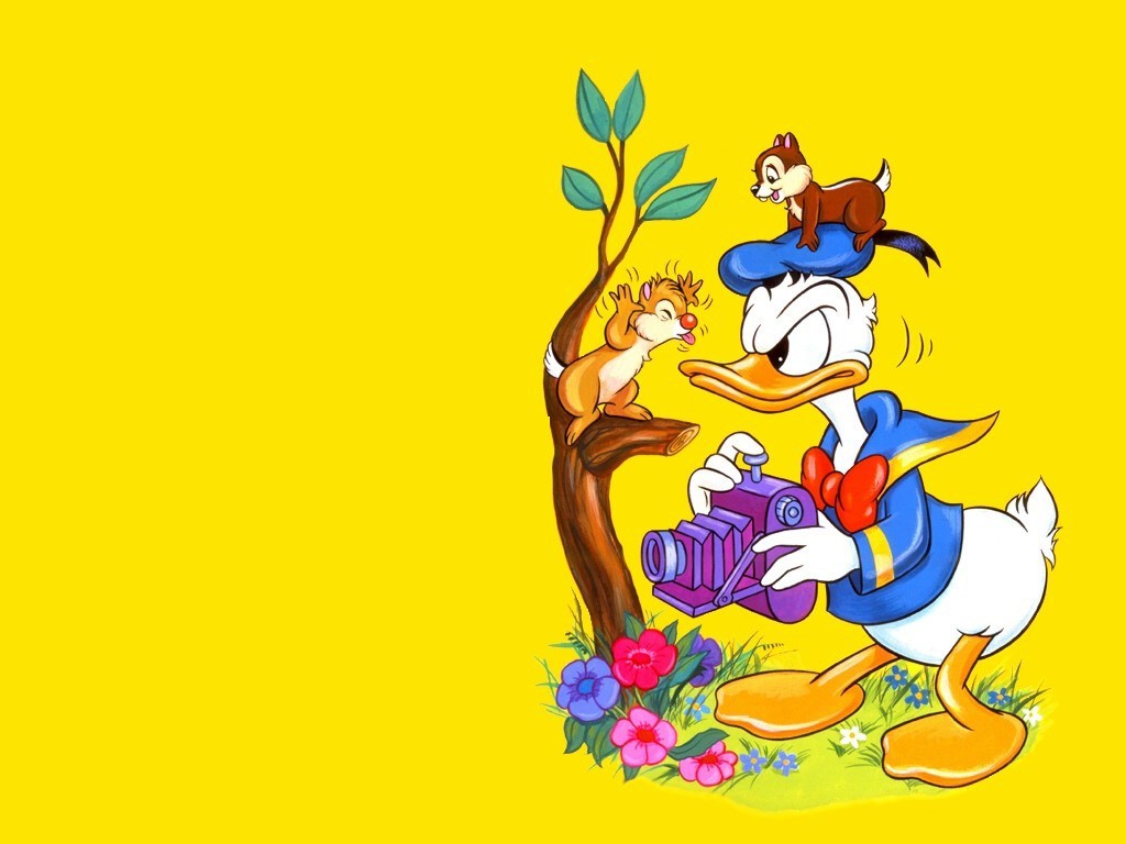 Donald Duck Cartoon Wallpaper In High Resolution For