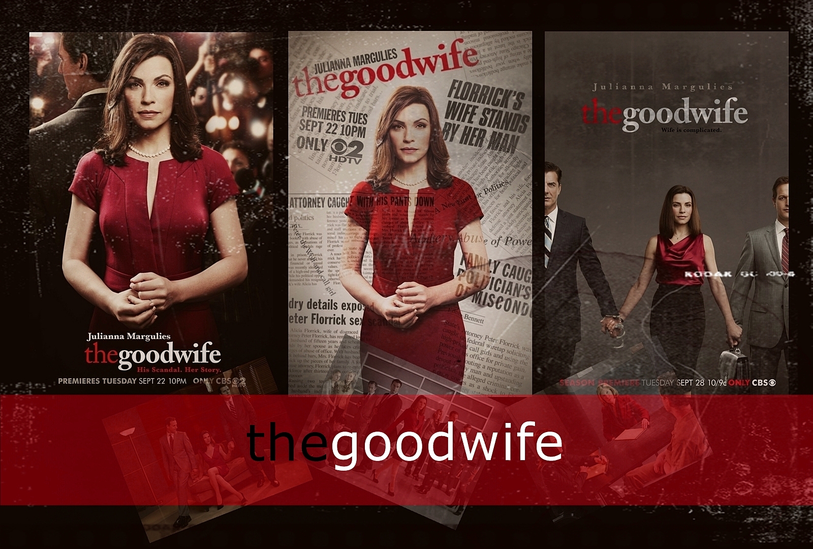 The Good Wife Image Wallpaper HD And