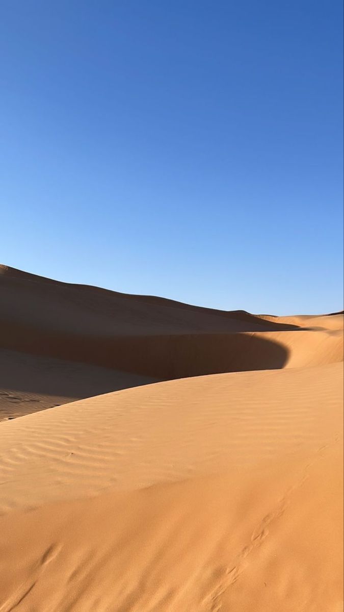 Rami On Scenery Wallpaper
