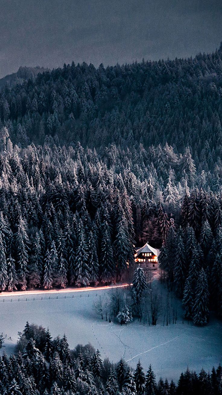 Winter Snow Forest Chalet Retreat iPhone Wallpaper Black