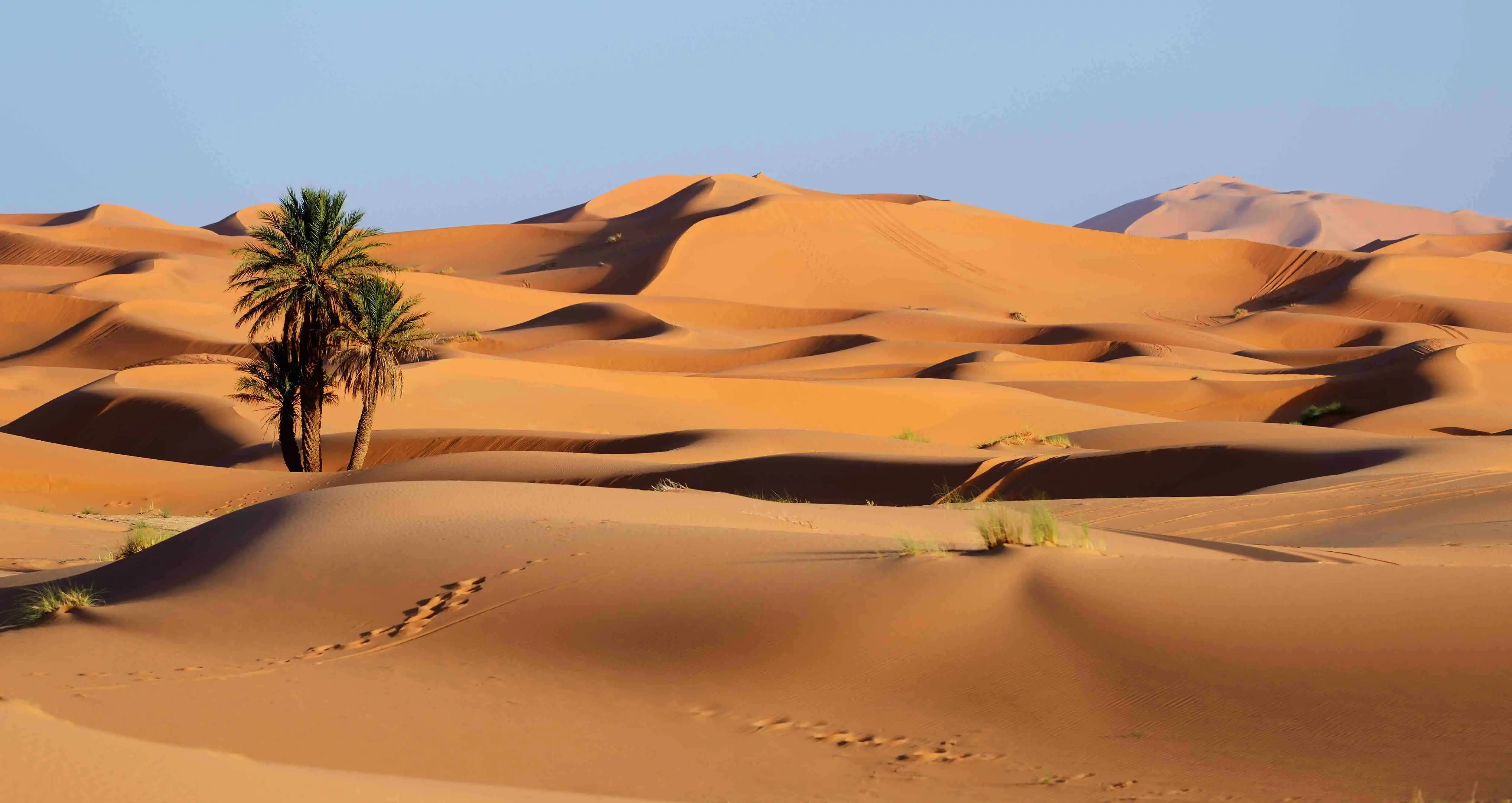 Sahara Desert Facts About The Great Of Africa Wallpaper