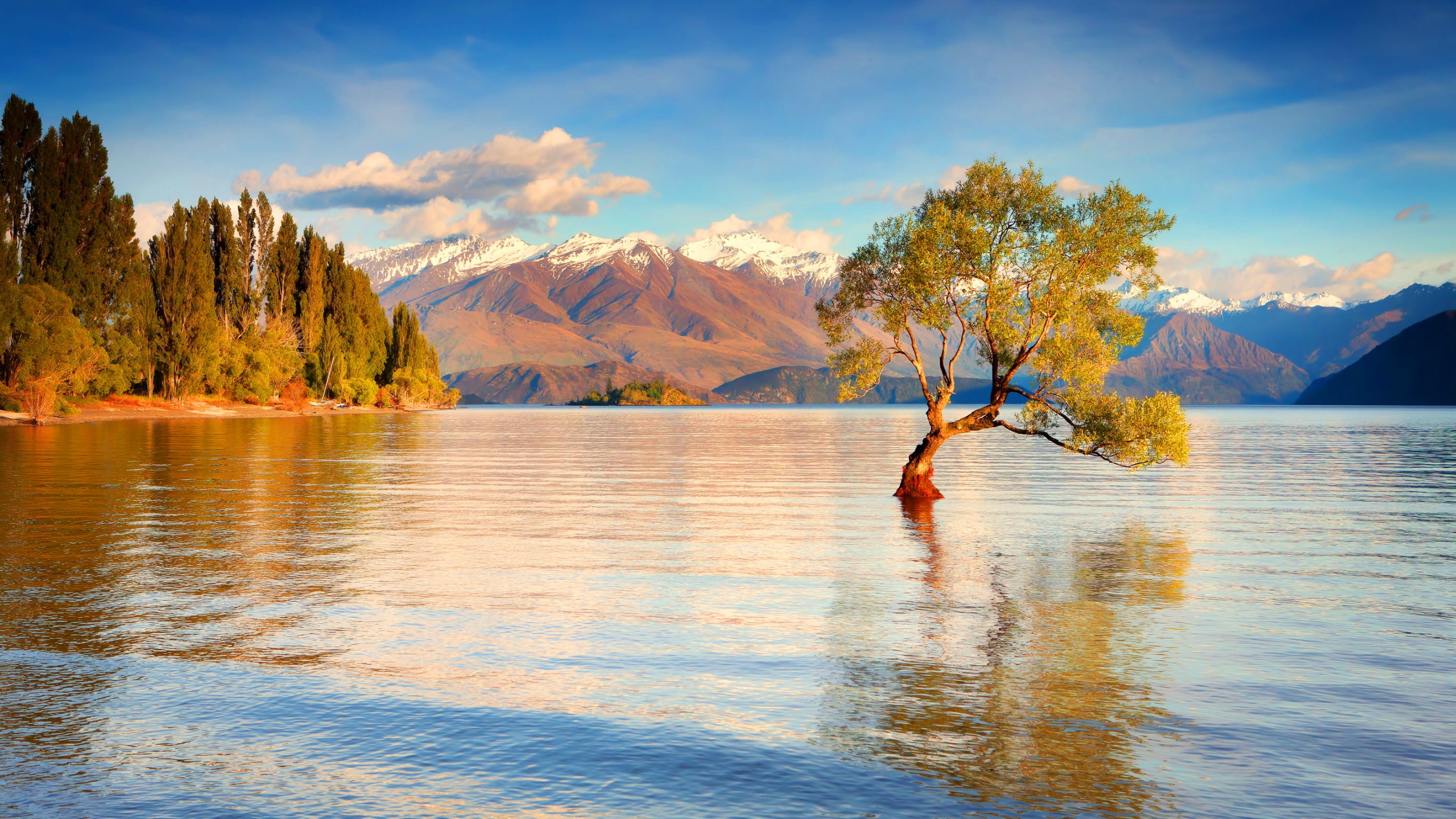Full HD New Zealand Wallpaper For The