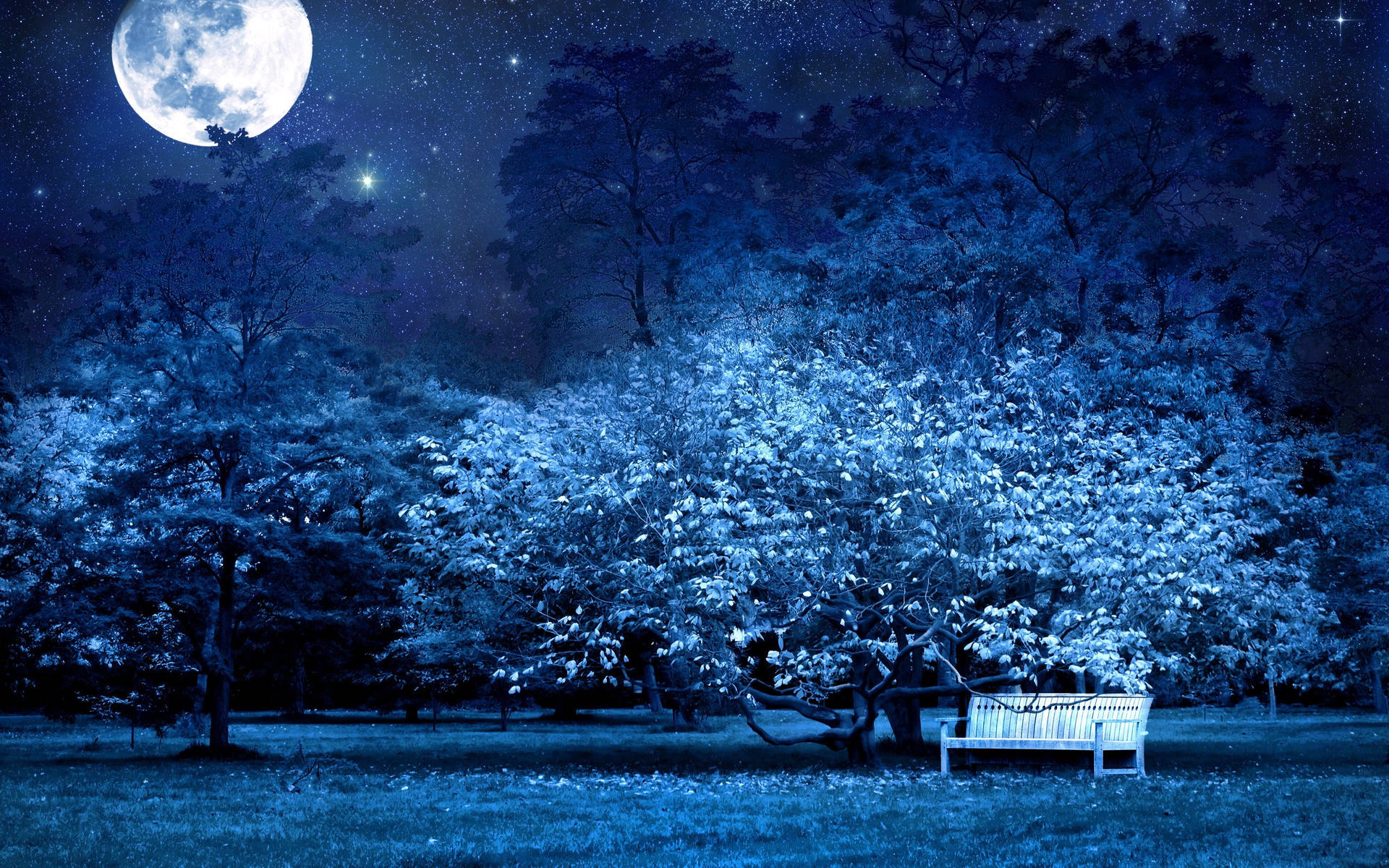 Moon Night Sky Wallpaper
