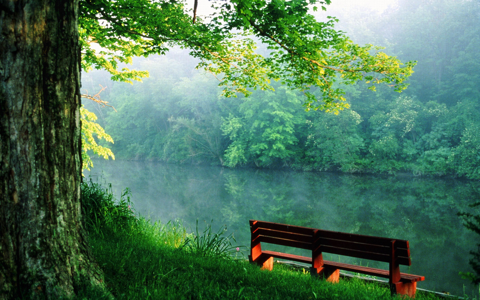Quiet Place Near The River Wallpaper And Image