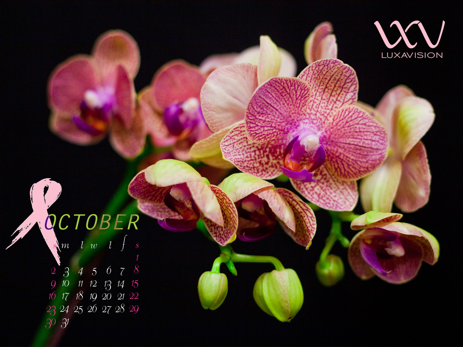 Desktop Calendar For October Breast Cancer Awareness Month Pink