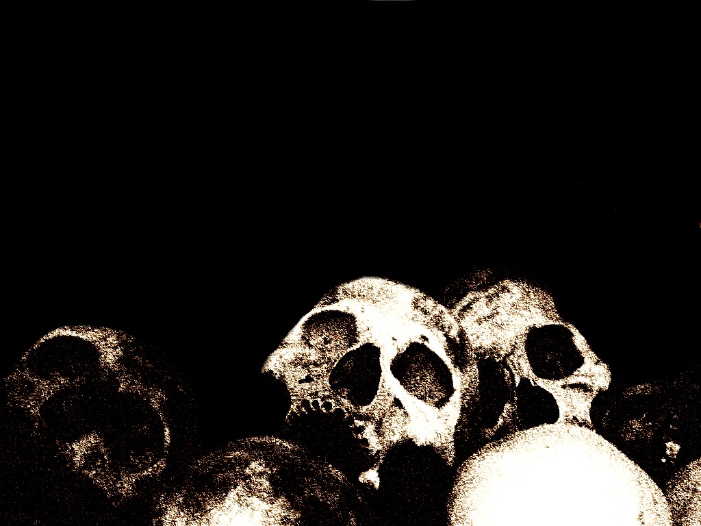 Free download Skulls And Bones Wallpapers image gallery [1024x768] for ...