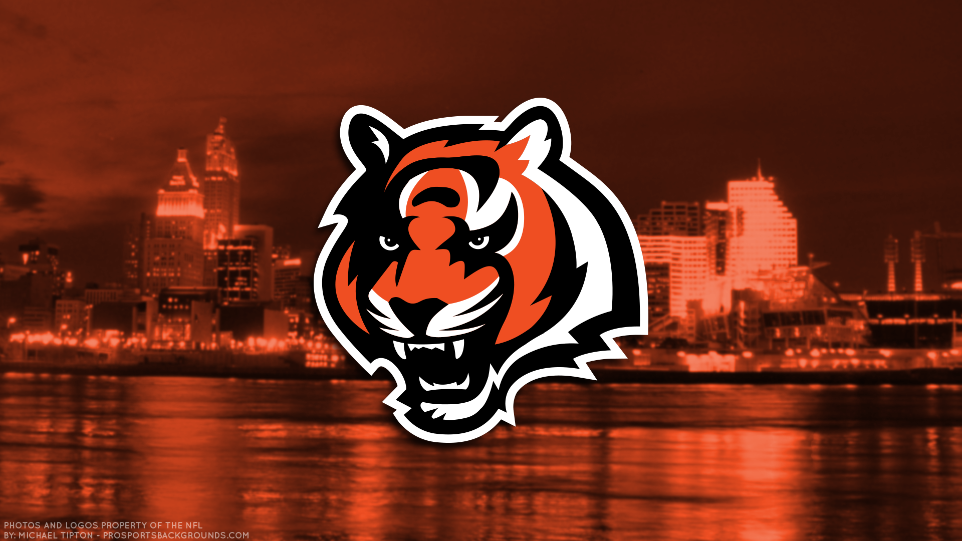 Cincinnati Bengals Features 4sga