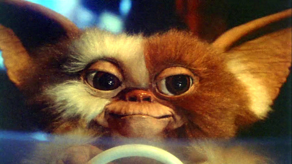 Pictures Of Gizmo From The Gremlins Being