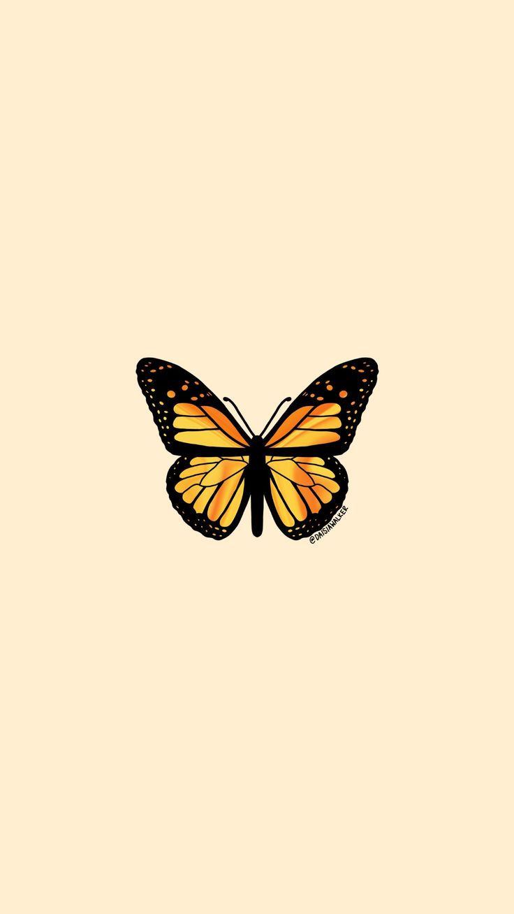Yellow Orange Butterfly iPhone Wallpaper