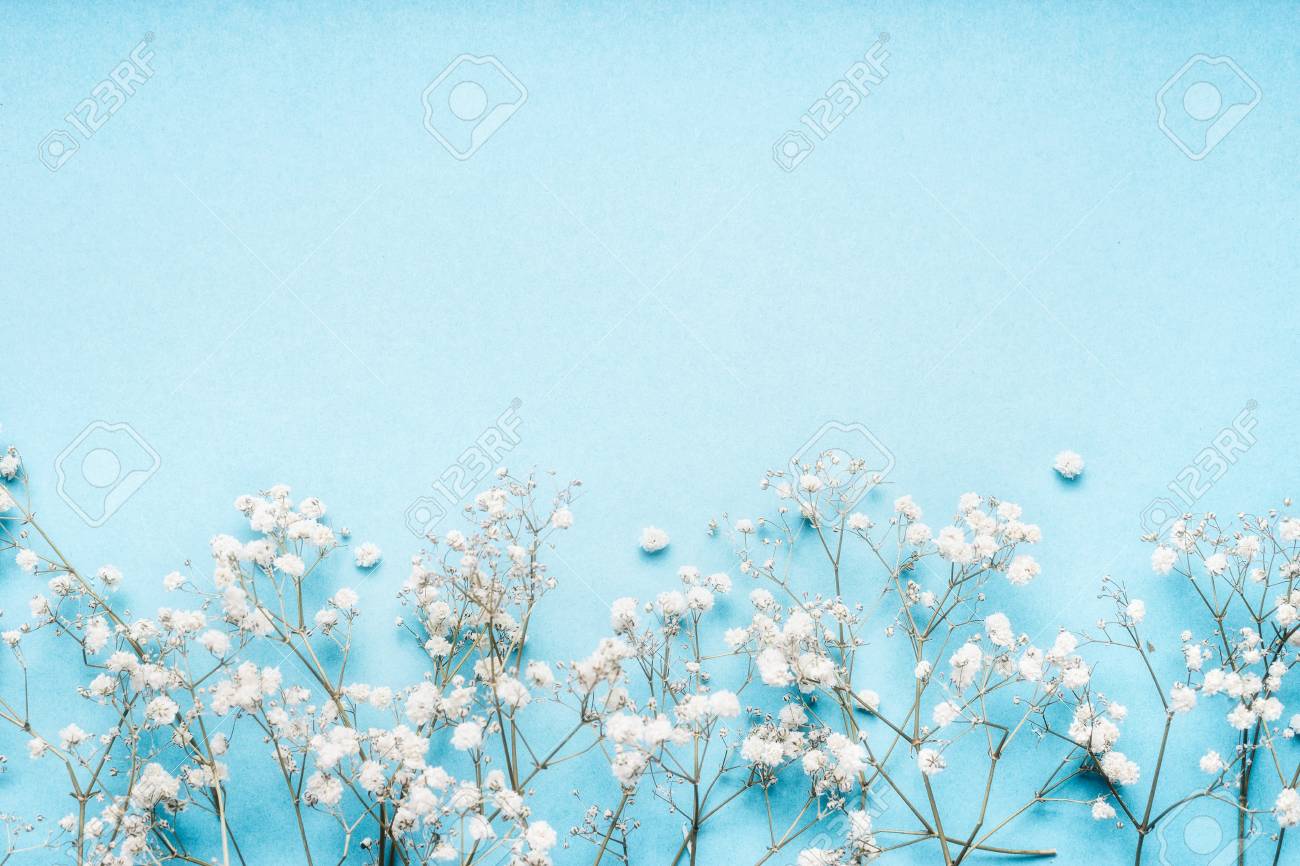 Little White Gypsophila Flowers On Blue Background Pretty Floral