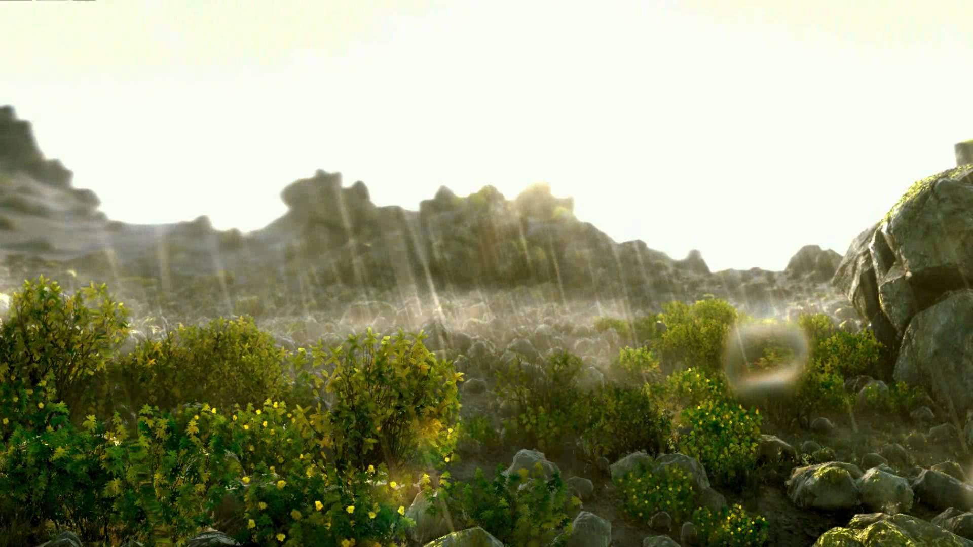 Photo Sunshower Bspo06 Drops Grass Jooinn